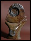 Ammonite Sculptures