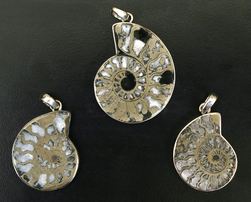 Pyritized Ammonite Earrings