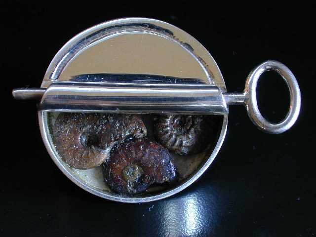 Round Pin with Ammonites 
